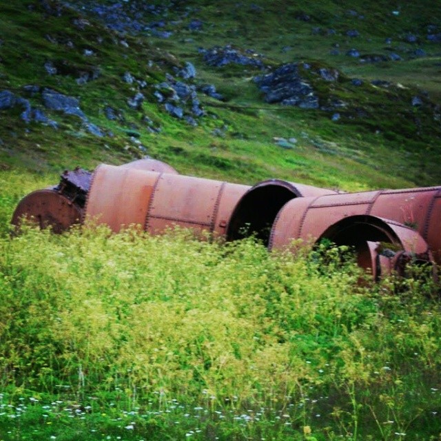 Featured Image